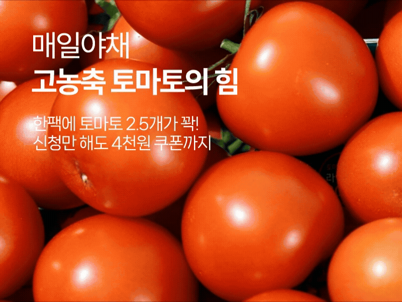매일야채 토마토_배너.gif